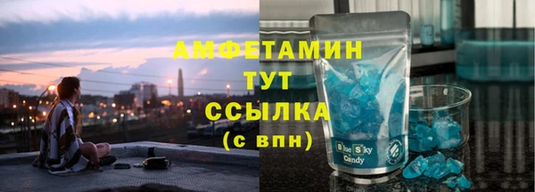 хмурый Аркадак
