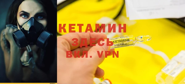 хмурый Аркадак