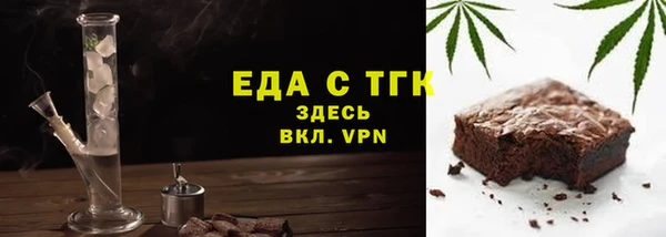 хмурый Аркадак
