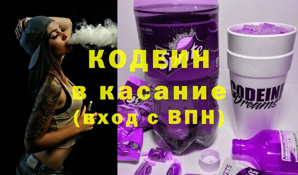 хмурый Аркадак