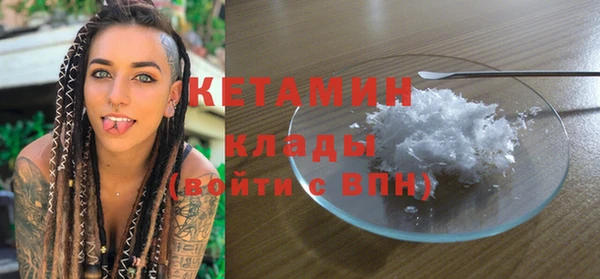 хмурый Аркадак