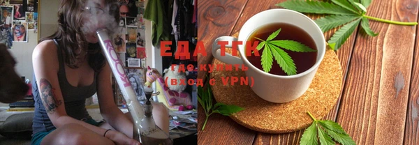 хмурый Аркадак
