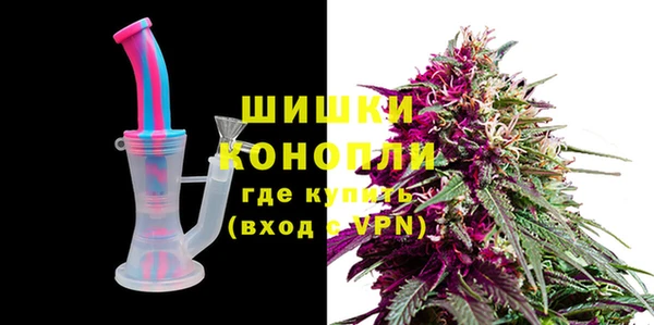 хмурый Аркадак