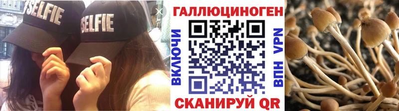 Галлюциногенные грибы Psilocybine cubensis  Николаевск-на-Амуре 